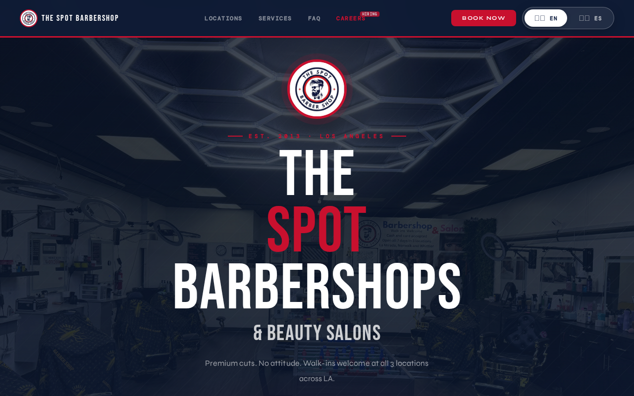 Website project mockup 3